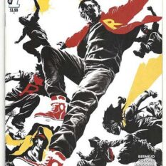 We Are Robin #1