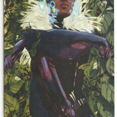 Captain America: Sam Wilson #12