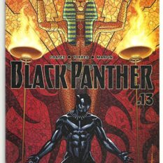 Black Panther Vol 6 #13
