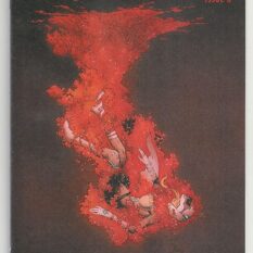 Reborn #6