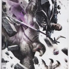 Suicide Squad Vol 4 #48 Francesco Mattina Variant