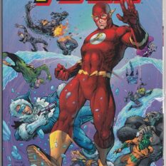 Flash Vol 1 #750 Jim Lee 2000's Variant