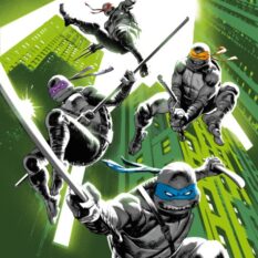 Teenage Mutant Ninja Turtles Subscription