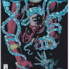 Flash Vol 6 #5