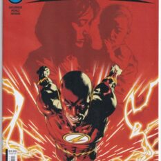 Flash Vol 6 #11