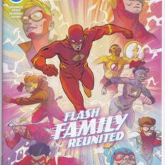 Flash Vol 6 #12