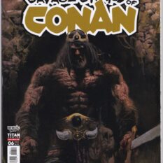 Savage Sword of Conan Vol 3 #6