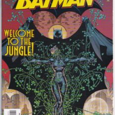 Batman Vol 1 #611