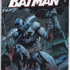 Batman Vol 1 #617