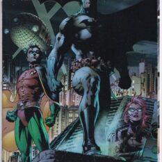 Batman Vol 1 #619