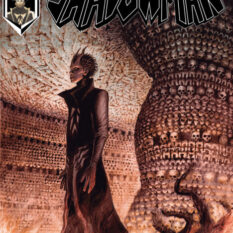 Valiant Beyond: Tales Of The Shadowman #2 Variant B (Sanz) Pre-order