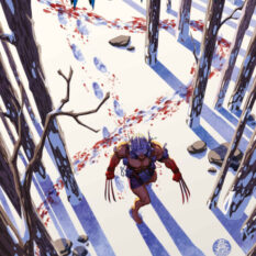 Wolverine #13 Mark Brooks Variant Pre-order