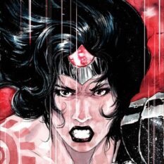 Absolute Wonder Woman #14 Cover D Dustin Nguyen Card Stock Variant Pre-order