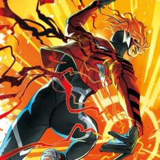 Absolute Flash #9 Cover D Haining Card Stock Variant Pre-order