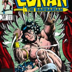 Conan The Barbarian The Original Comics Omnibus HC Vol 07 Regular Edition Mike Docherty Pre-order