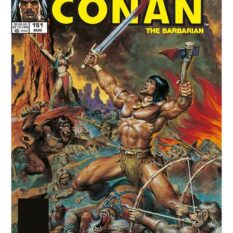 Savage Sword Of Conan The Original Comics Omnibus HC Vol 11 Direct Market Edition Doug Beekman Cover Pre-order