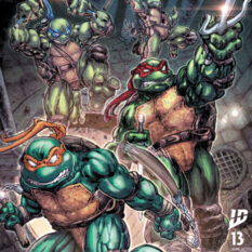 Teenage Mutant Ninja Turtles #13 Cover A (Williams II) Pre-order