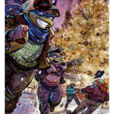 Teenage Mutant Ninja Turtles #13 Variant C (Cullum) Pre-order