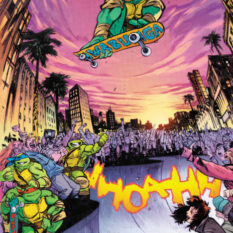 Teenage Mutant Ninja Turtles #13 Variant E (Johnson) Pre-order