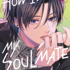 How I Met My Soulmate 5 Pre-order