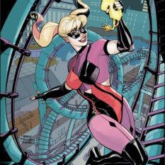 Harley Quinn #57 Cover E Terry Dodson & Rachel Dodson Card Stock Variant (#200) Pre-order