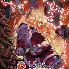 I Saw Santa A Spawn Universe Christmas Story #2 (Of 2) Cover A Brett Booth Pre-order