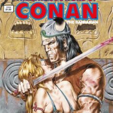 Savage Sword Of Conan The Original Comics Omnibus HC Vol 07 Direct Market Edition Cover Pre-order