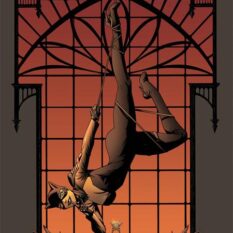 Catwoman #83 Cover D Corin Howell Card Stock Variant Pre-order