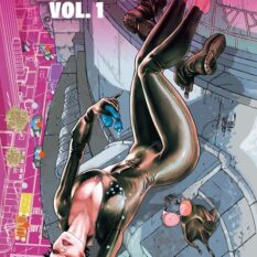 Catwoman The New 52 Omnibus HC Vol 01 Pre-order
