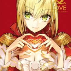 Love Arco Wada Fate Art Works HC Pre-order