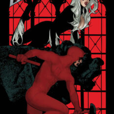 Black Cat #6 Pre-order