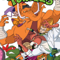 Teenage Mutant Ninja Turtles: Saturday Morning Adventures #33 Cover A (Schoening Connecting Cover Set) Pre-order