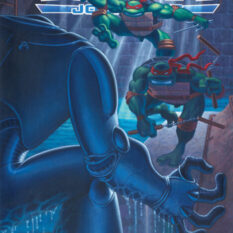 TMNT: Journeys #5 Cover A (Dooney & Lawson) Pre-order