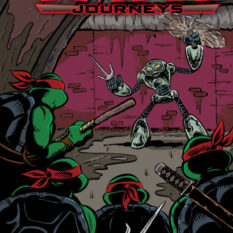 TMNT: Journeys #5 Variant B (Mitchroney) Pre-order