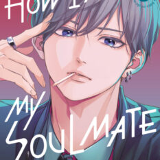 How I Met My Soulmate 6 Pre-order