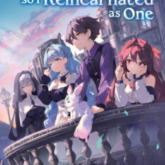 I Like Villains, So I Reincarnated As One (Light Novel) Vol. 1 Pre-order
